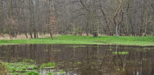 Świnoujście - Podtopiony Park Zdrojowy