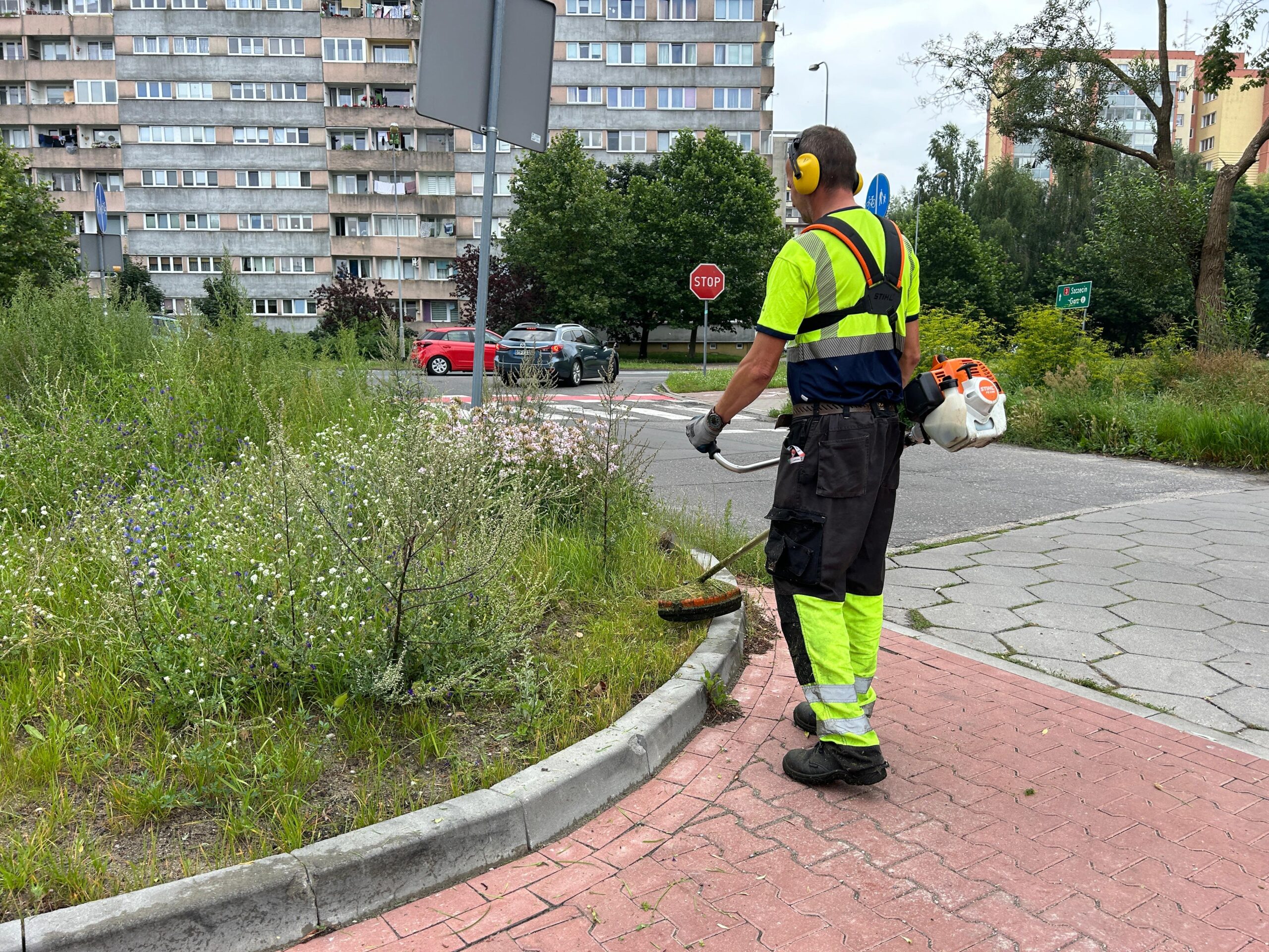 Anida Kostrzewa Zieleń w Świnoujściu będzie zachwycać