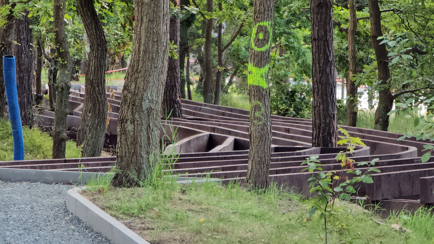 Leśna Promenada w Świnoujściu: Nowa atrakcyjna trasa spacerowa